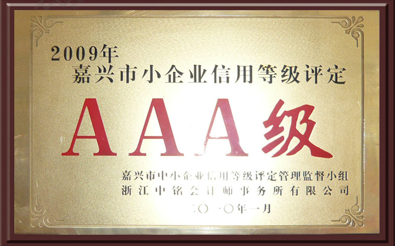 2009年嘉兴市小企业信用等级评定AAA级